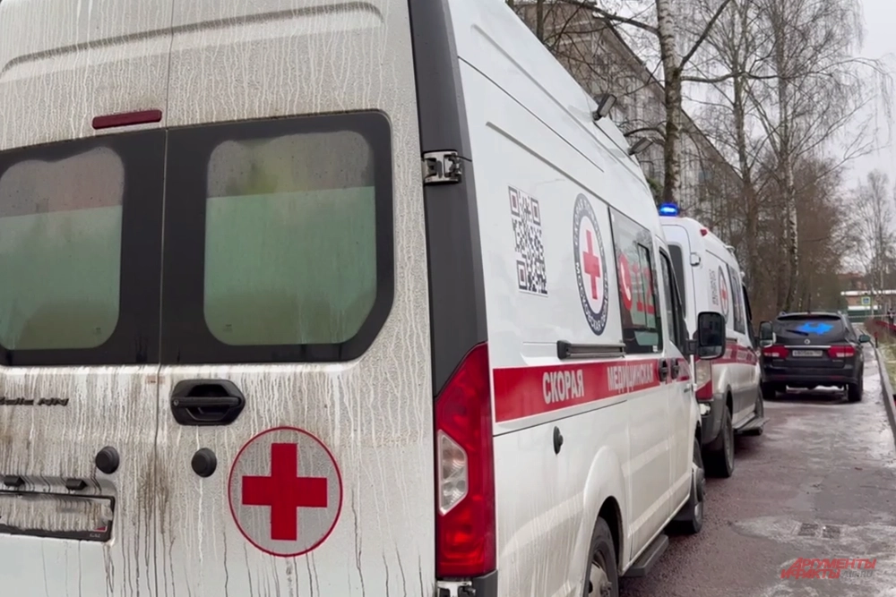 одинцово. нападение на школу