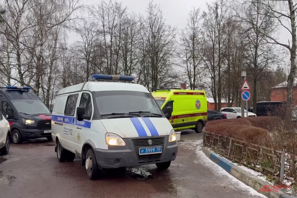 одинцово. нападение на школу