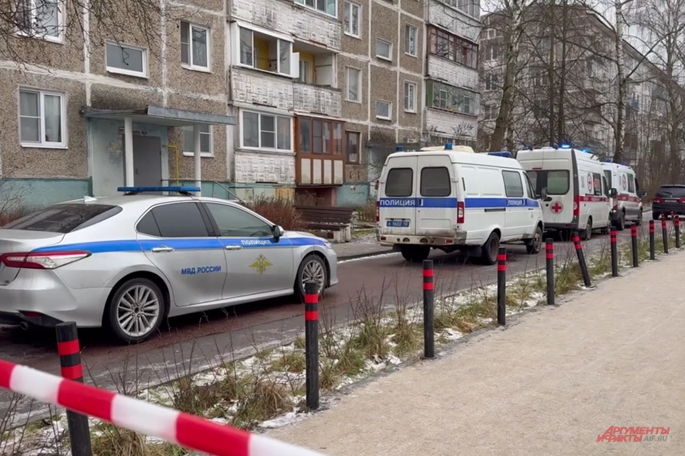 одинцово. нападение на школу