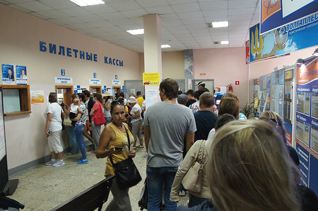 Чтобы купить билет на фестиваль сыра в Рождествено, надо было отстоять внушительную очередь.