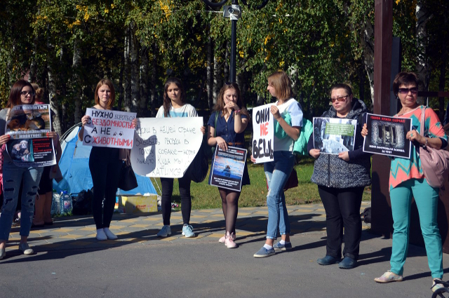 Десятки неравнодушных тюменцев собрались в Сквере гимназистов