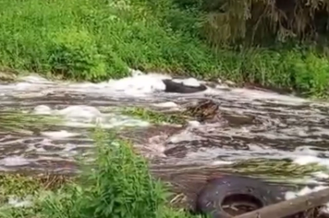Такой поток устремился в сторону деревни
