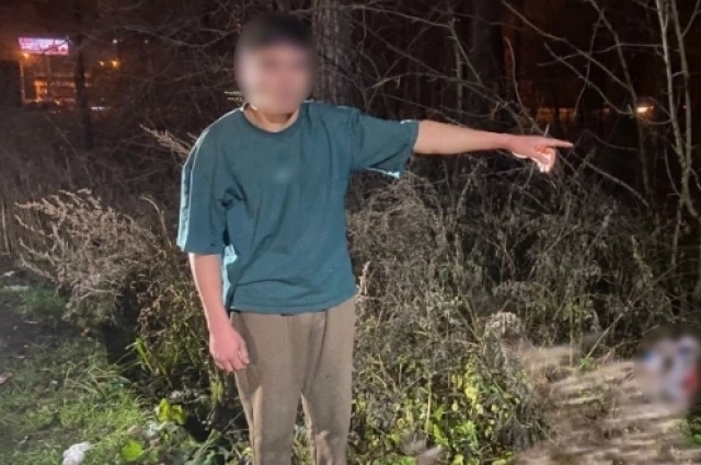 Сын показал, где спрятал голову и вещи убитой матери.