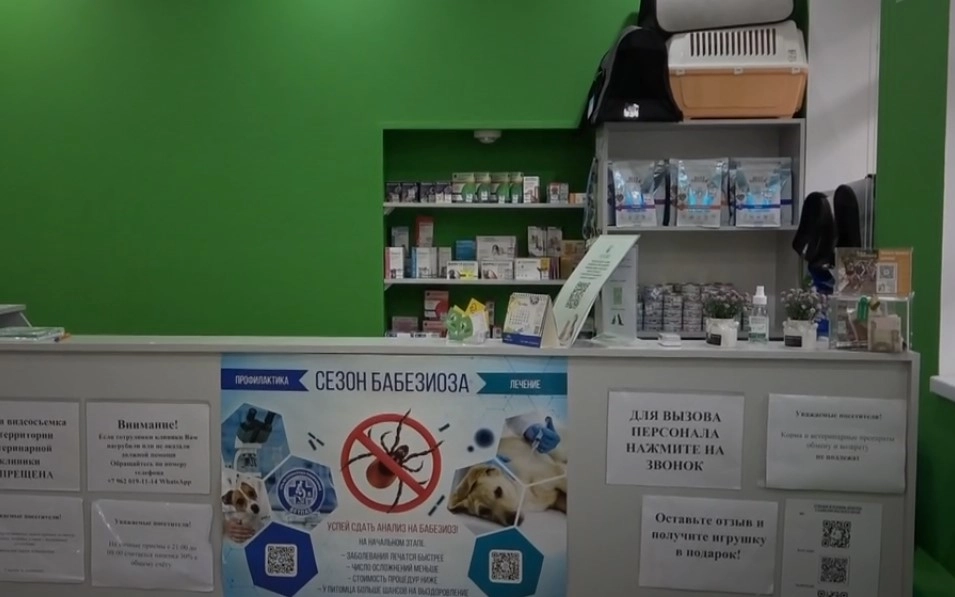 Внутри клиники много информационных плакатов и товаров для животных на продажу.