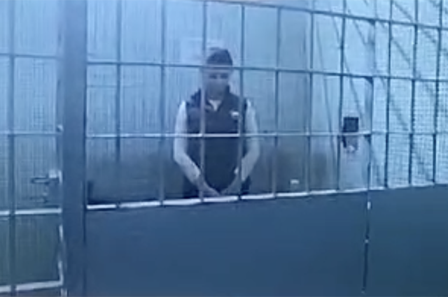 Елена Блиновская