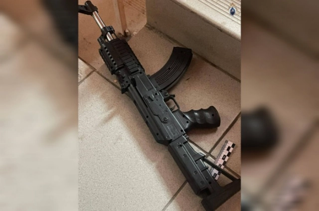 Гимназия стрельба