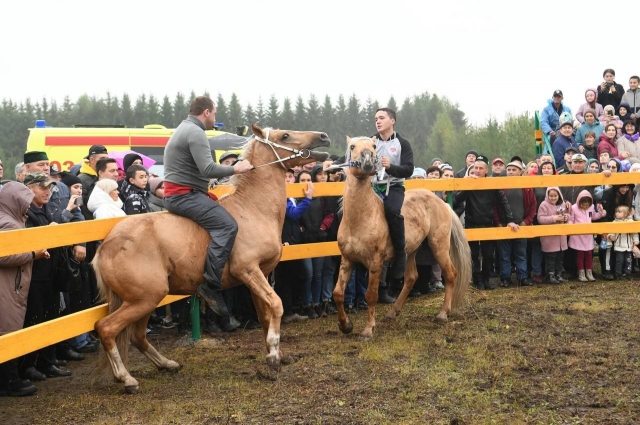 В празднике участвовали конезаводчики и любители скачек из девяти регионов России и более 150 лошадей различных пород .