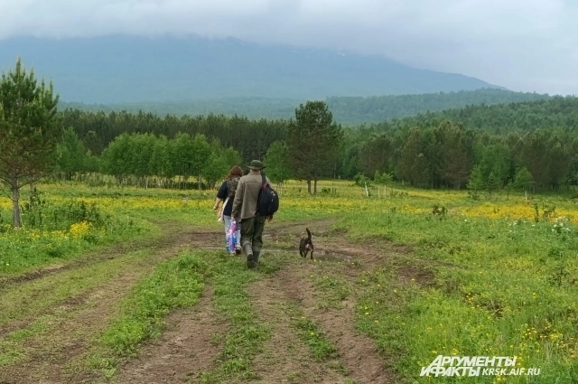 Дорога из Кутурчина в сторону Мальвинки.