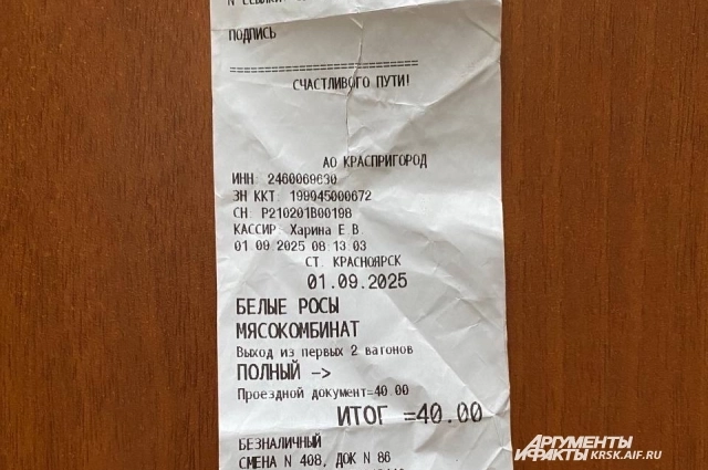 В электричке пока действует старая цена.