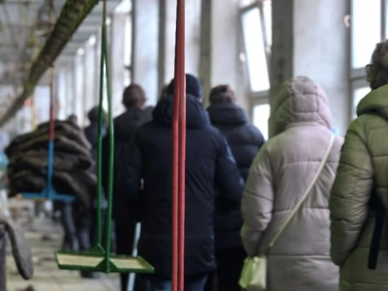 В воздухе летают частицы шерсти, пыли и грязи.