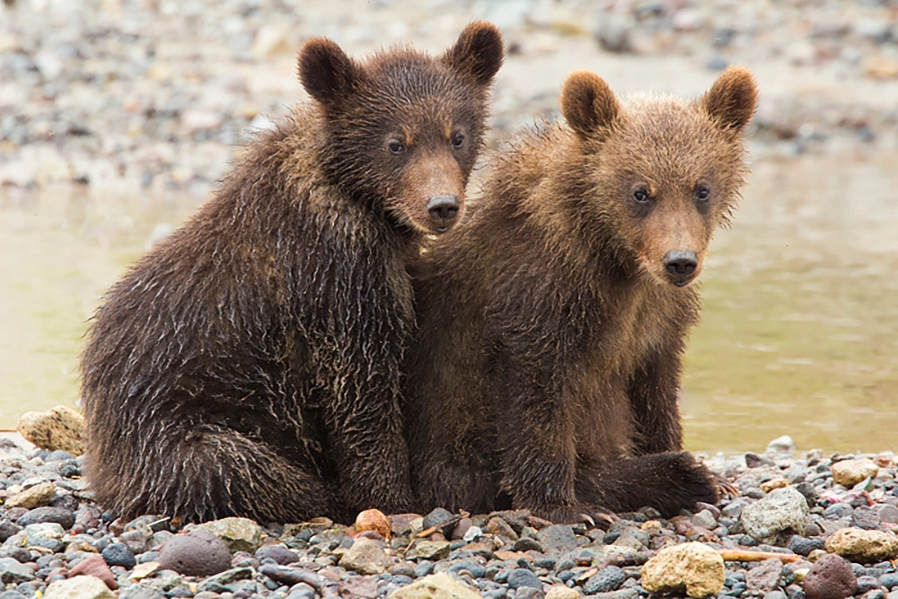 Школа выживания.