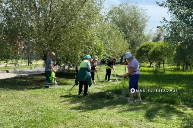 Работы по покосу травы  в городе усилили с 20 мая.