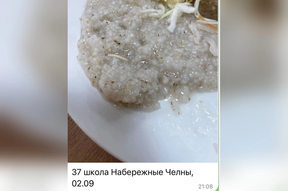 По словам школьников, они получали кашу с насекомыми.