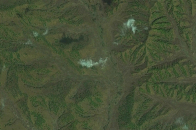 Так выглядит площадь внутри контура этого пожара в Гугле Планета Земля - хорошо видно, что часть территории занимают леса.