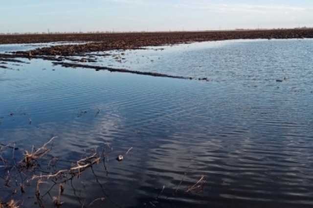 Дороги размывает, вода не уходит, а скапливается в низинах