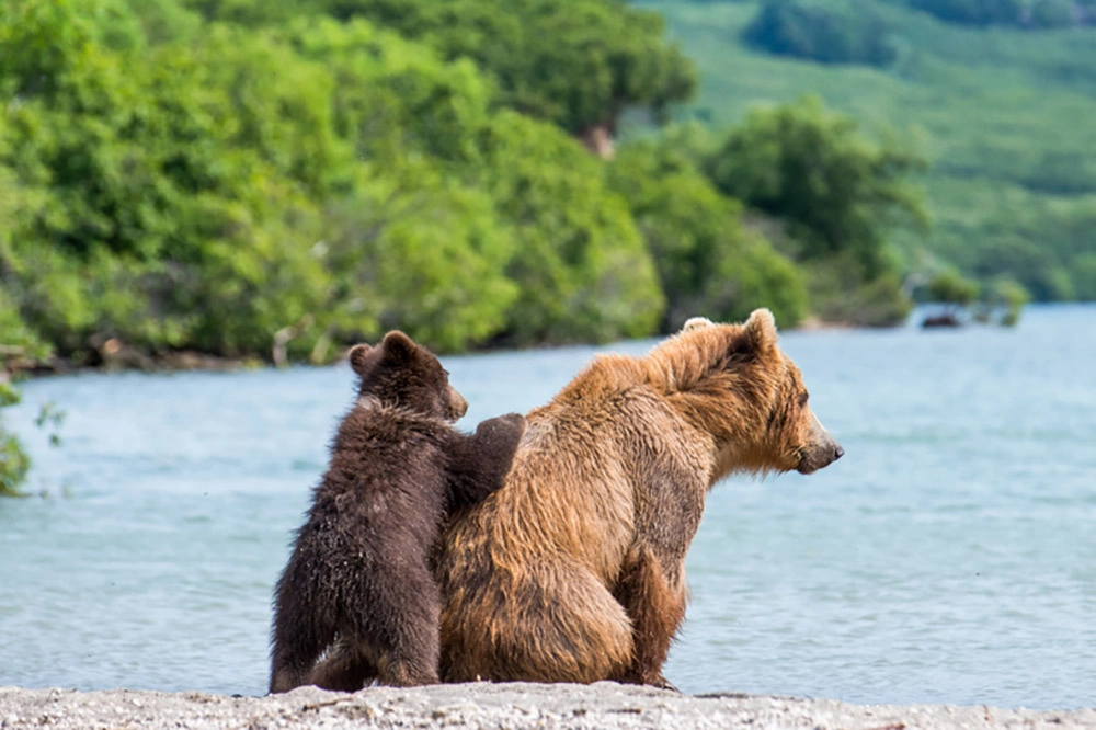 Право на рождение.
