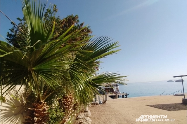 В Египет летят ради моря и истории.