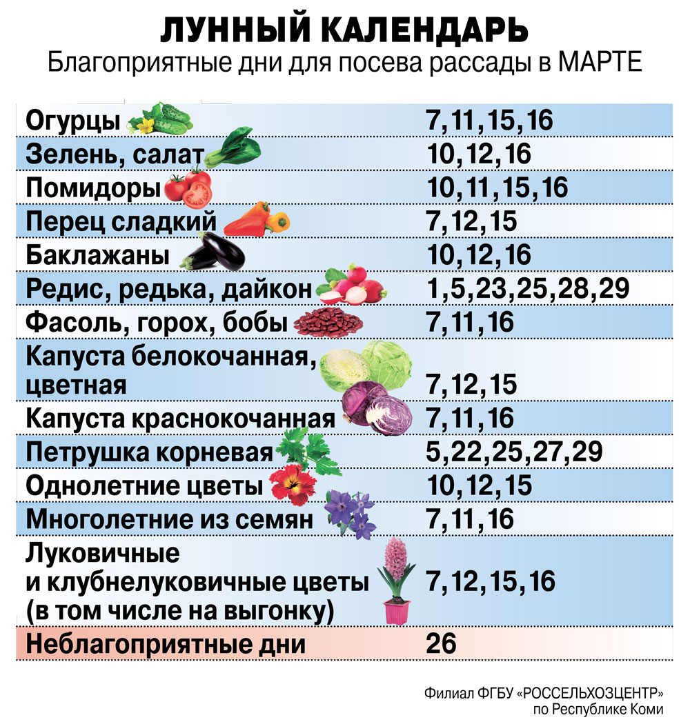 Дни для пересадки томатов в марте 2024