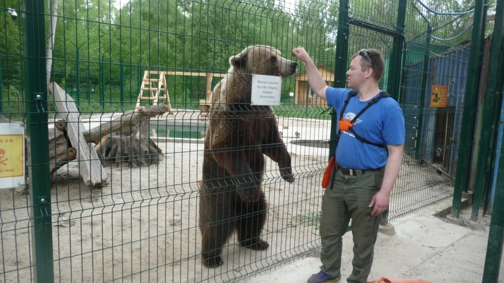 Мансур всегда ждёт приезда своего друга Андрея, который заботился о нём с самого медвежьего детства.