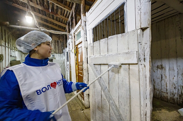 Волонтеры ВИЗ-Стали помогли конному клубу в поселке Монетном