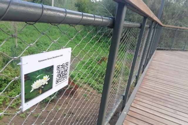 Кувшинки остались только на табличках, которые, скорее всего, тоже скоро отпадут и сгниют.