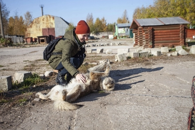 В приюте помогают волонтеры. Большая часть из них – женщины