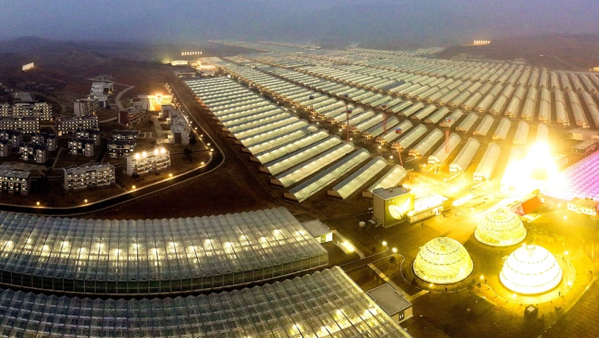 Кандонский тепличный комбинат за городом Пхеньяном.