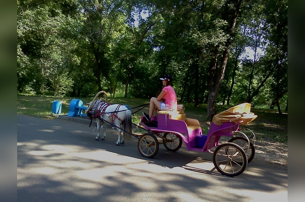 Зауральная роща