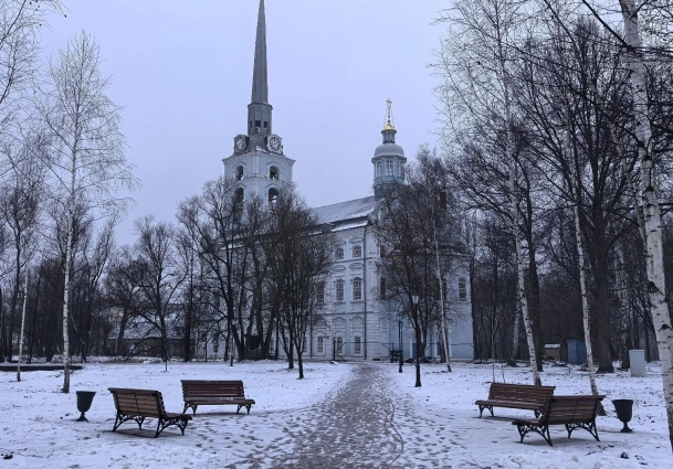 Часть деревьев спилили...