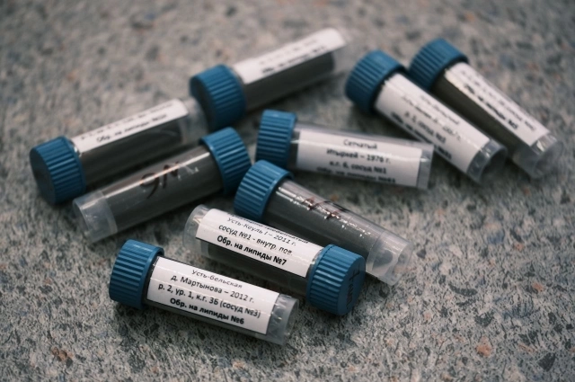 С шести стоянок и поселений было взято девять образцов пищевых корок.