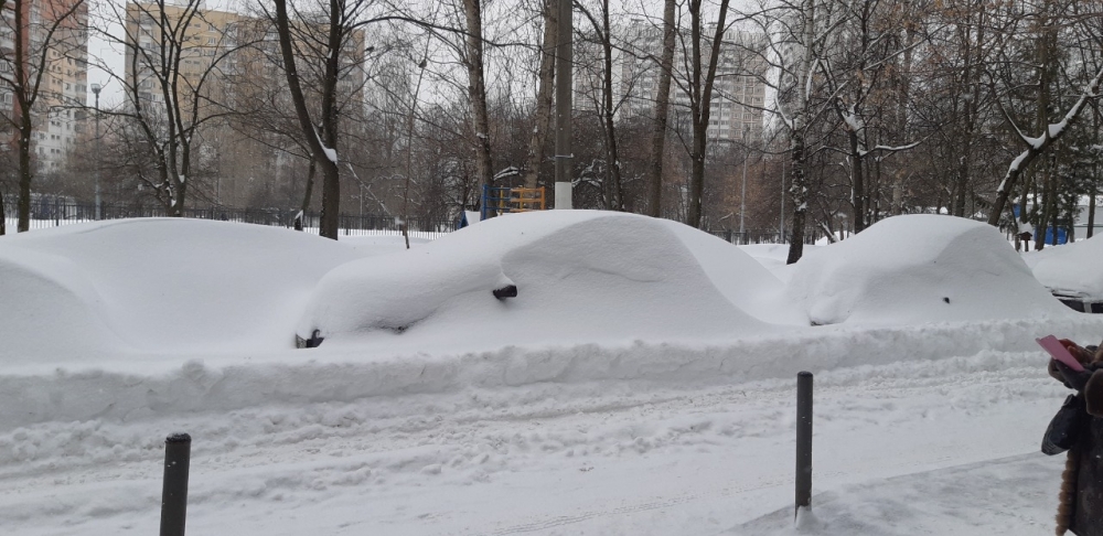 «Откопаю машину. Дорого». В Москве после снегопада появились особые услуги