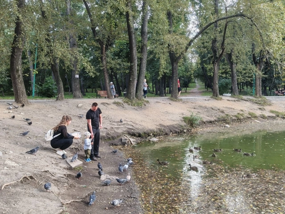  По словам биологов, утки сами по себе полезны для водоёмов, но их скопление в маленьком пруду может привести к сбою его экосистемы.