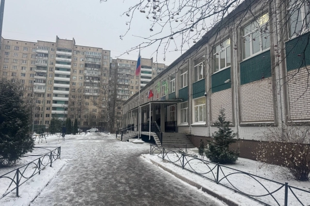 Школа 191 Красногвардейского района Петербурга.