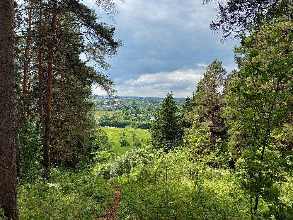 Андроновский лес