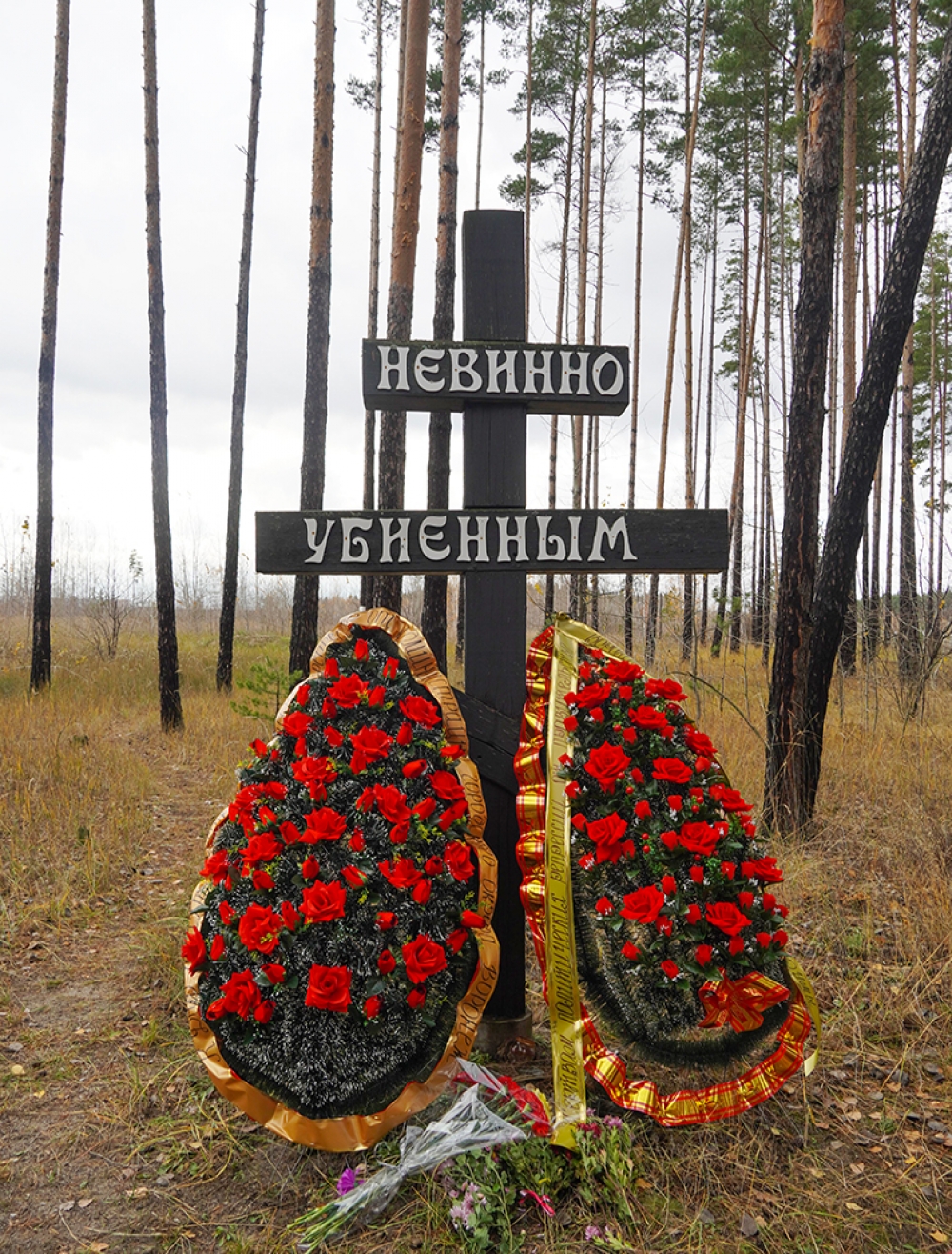 Захоронения в Дубовке всё ещё предстоит добросовестно исследовать.