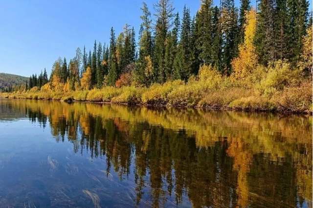 После короткой яркой осени наступает долгая холодная зима.