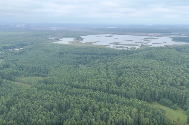 Детей золотом кормили. Село Шурала было одним из самых богатых на Урале