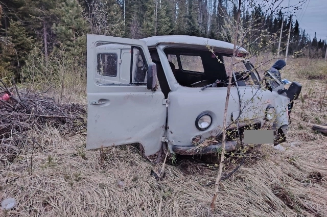 Смятую машину нашли у леса.