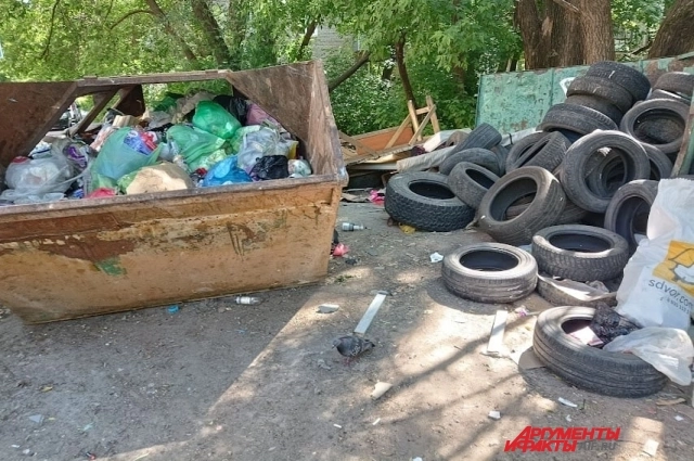 Судя по звукам, груда покрышек обитаема.