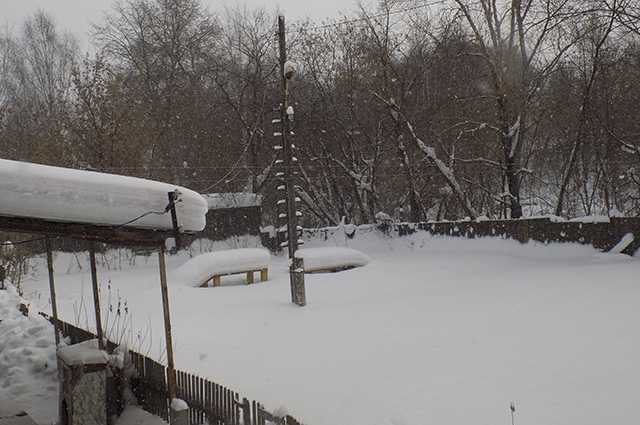Территория, где якобы должны содержаться собаки, засыпана снегом.