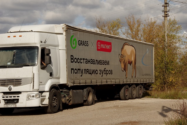 Восемь мохнатых великанов были отправлены в Северную Осетию в ноябре.