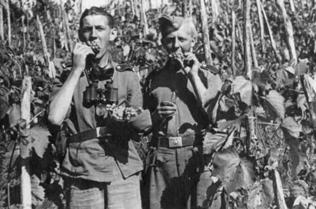 Статья из газеты «Правда» о фашистских мародёрах, 9.08.1941 г.