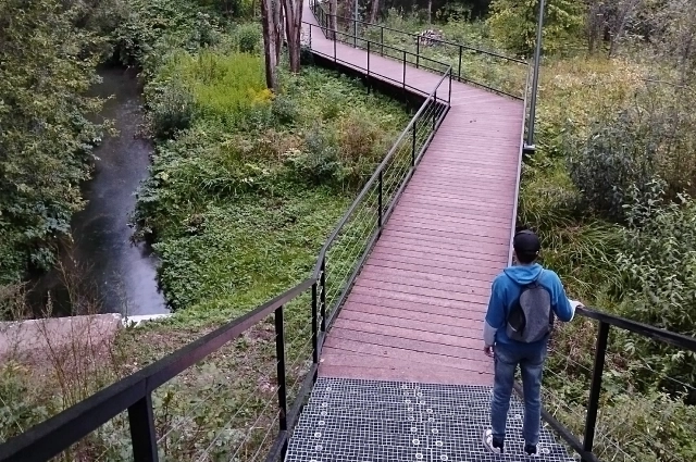 Одна из самых живописных дорожек – «Зелёнка»