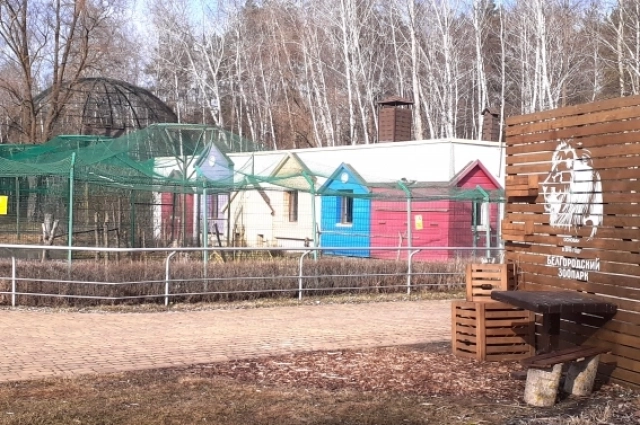 Одна из фотозон на территории зоопарка.