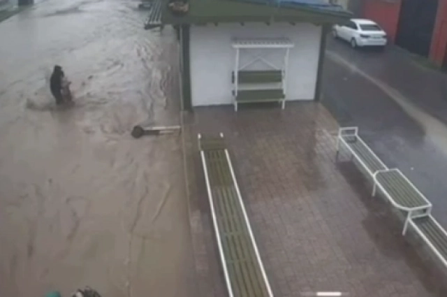 В Махачкале прохожий спас упавшую в воду девочку.