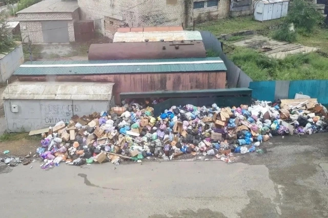 Так площадка выглядела до очистки.