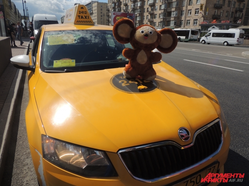Мягкая игрушка объездила на такси весь Петербург. 