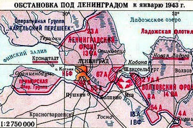 Расстоновка сил под Ленинградом, январь 1943