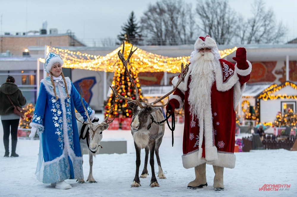 площадка проекта «Зима в Москве», расположенной у Дворца пионеров на Воробьевых горах