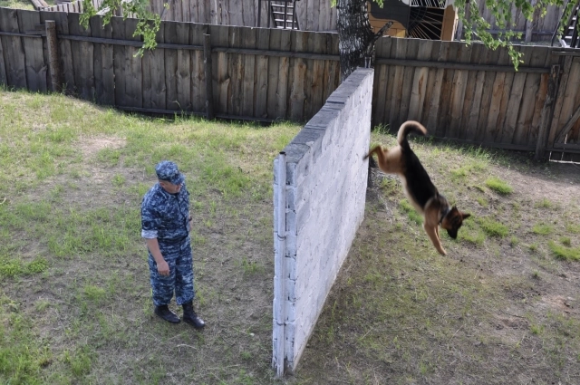 Фото: ГУФСИН по Новосибирской области